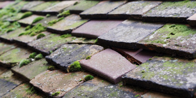 Norton roof repair costs